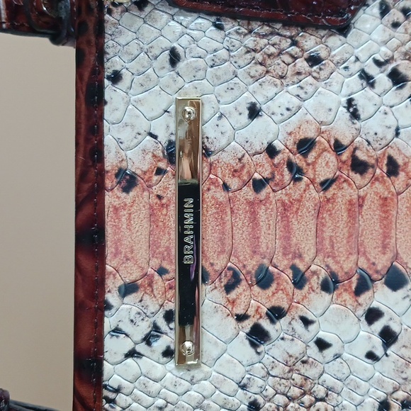 Brahmin Mini Asher Bag - Picture 4 of 16